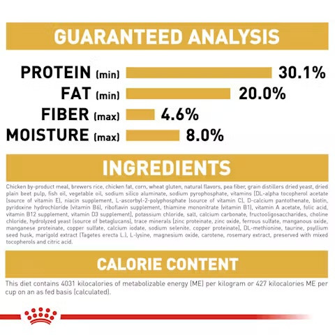 🍗🍚🌽🌾رویال کنین پرشین کیتن 10kg