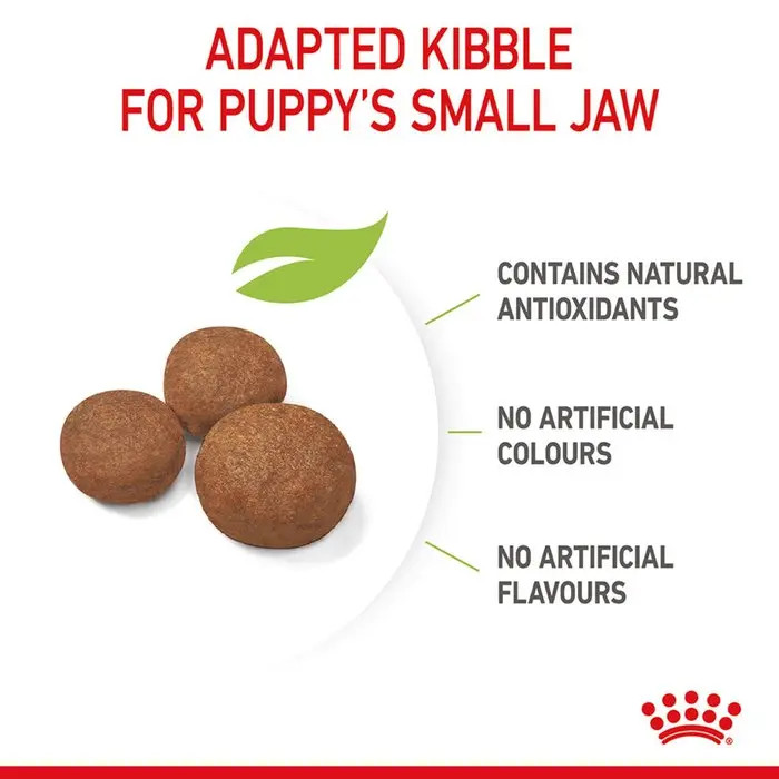 رویال کنین مدیوم پاپی دو کیلویی Royal Canin Medium Puppy2Kg