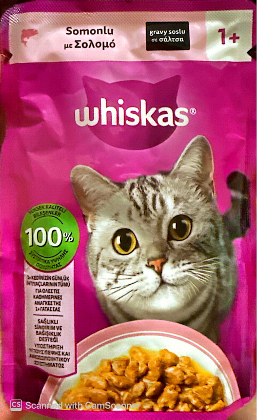 🥣 پوچ گربه بالغ ویسکاس ترک 🇹🇷Whiskas طعم ماهی سالمون🐟🌊