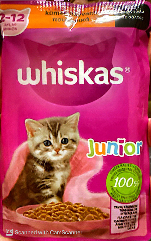 🥣 پوچ گربه جونیور ویسکاس ترک🇹🇷 Whiskas طعم مرغ 🍗در گروی🐓🍖