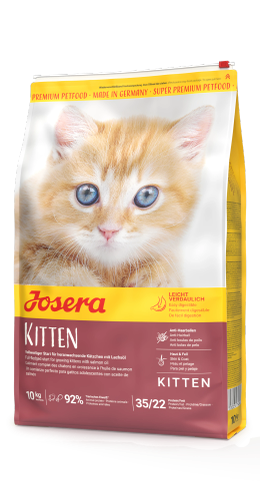 🐓🐟🥔🍚جوسرا کیتن (kitten) دو کیلویی