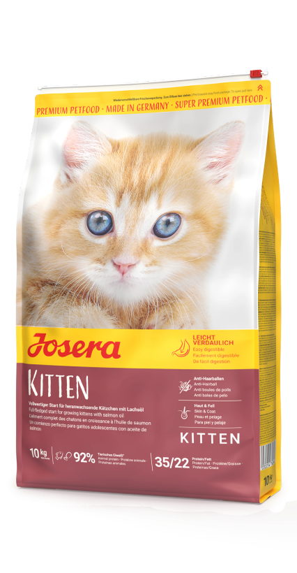 🐓🐟🥔🍚جوسرا کیتن (kitten) دو کیلویی