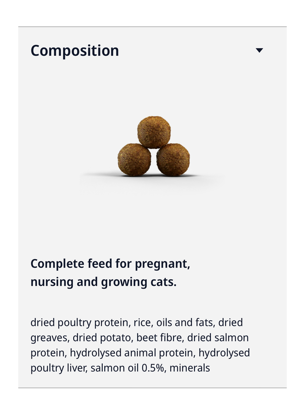 🐓🐟🥔🍚جوسرا کیتن (kitten) دو کیلویی