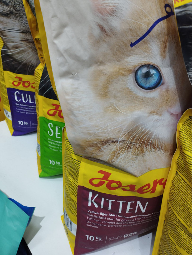 🐓🐟🥔🍚جوسرا کیتن (kitten) دو کیلویی